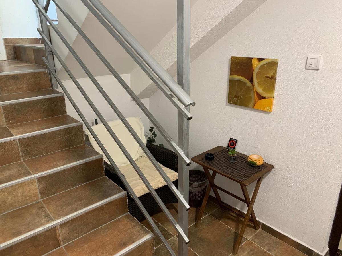 A6 Apartment Novi Sad Bagian luar foto